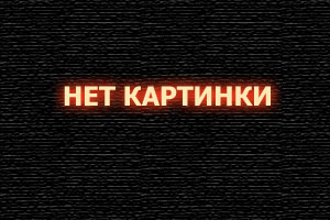 Русское домашние БИ (11 фото)